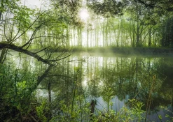 Schmidt - Homeland Jungle by Stefan Hefele Jigsaw Puzzle (1000 Pieces)