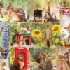 Willow Creek - Gettin' Squirrelly by Geert Weggin Jigsaw Puzzle (1000